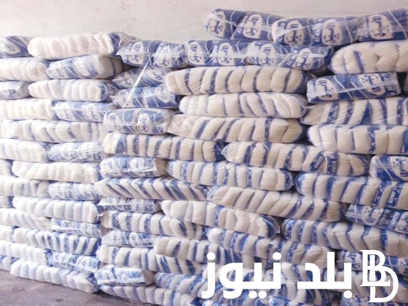 سبب ارتفاع سعر السكر في الأسواق المحلية.. رئيس شعبة السكر يُوضح التفاصيل كاملة