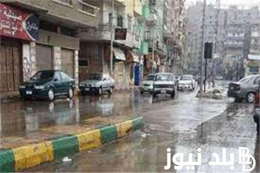 تعطيل الدراسة غداً الاثنين 5 نوفمبر 2023 لــسوء الأحوال الجوية.. التعليم تُوضح