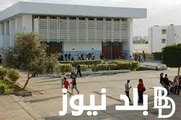 رابط نتائج دراسة المنح الجامعية ديوان الجنوب 2023/2024 ومتى يتم صرف المنحة الجامعية لكل الطلاب