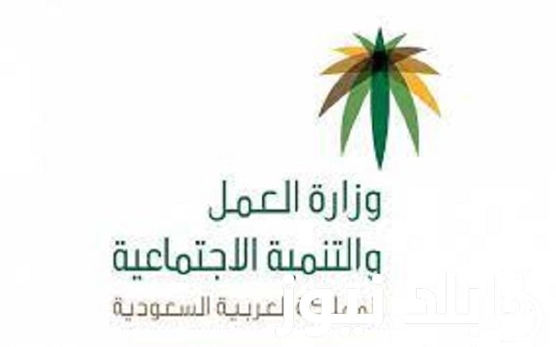 “استعلم من الجوال بسهولة” الاستعلام عن نقل كفالة 1445 وما هي شروط نقل الكفالة بالمملكة العربية السعودية وفقًا لما أعلنته وزارة العمل