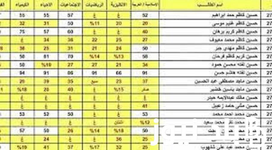 هُنا.. نتائج السادس اعدادي الدور الثالث 2023 عبر موقع نتائجنا الإلكتروني results.mlazemna.com