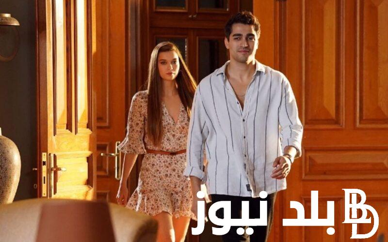 موعد عرض الطائر الرفراف Dailymotion وتردد قناة Star TV التركية الناقلة للمسلسل عبر النايل سات بجودة hd