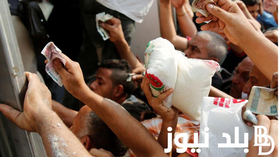 “بكام الكيس الكيلو النهاردة” سعر السكر اليوم في مصر السبت 25 نوفمبر 2023