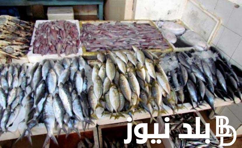 بكم أسعار السمك اليوم في سوق العبور بتاريخ الأحد 26-11-2023 للمستهلك