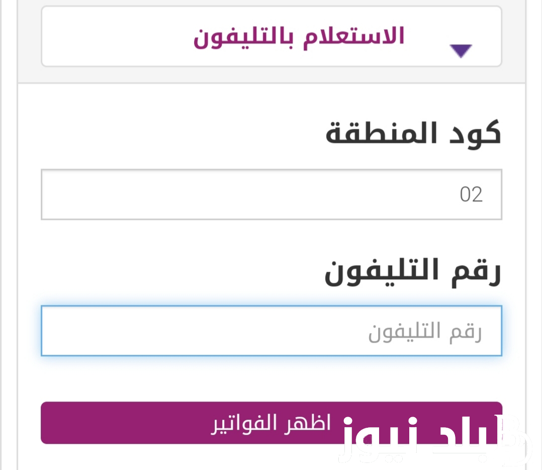 استعلام عن فاتورة الخط الارضي 2023 عبر موقع المصرية للإتصالات و ما هي الأوراق المطلوبة للتقديم على خط أرضي
