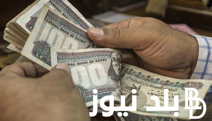 رســمياً موعد صرف مرتبات شهر نوفمبر للمعلمين فى الحكومة بالزيادة الجديدة المقررة بأثر رجعي