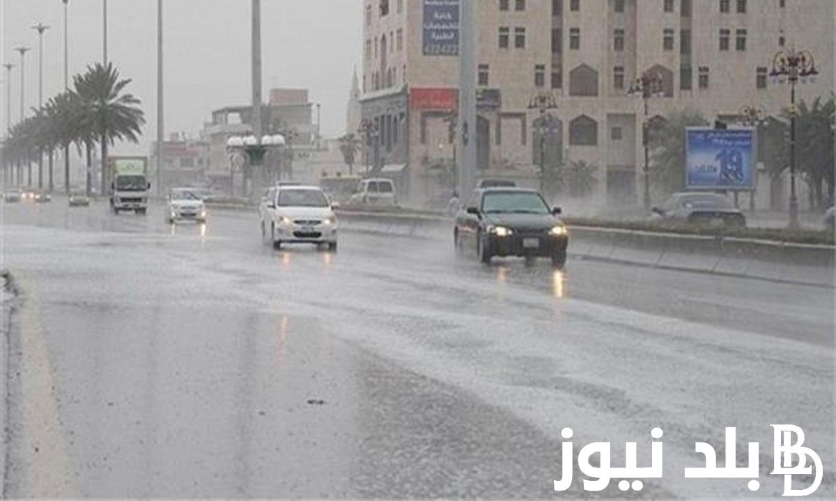 “الكل يقعد في بيته” تعطيل الدراسة غدا في الاسكندرية وفقا للهيئة العامة للأرصاد الجوية