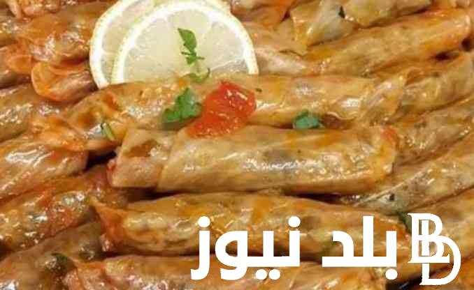طعم ياخد العقل كيفية عمل محشي الكرنب بأفضل طريقة في البيت