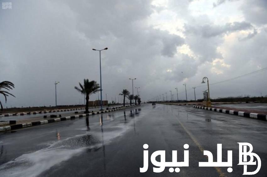 “الجو هيقــلب” حالة الطقس غدا 15 نوفمبر 2023 وفقا لبيان هيئة الأرصاد الجوية