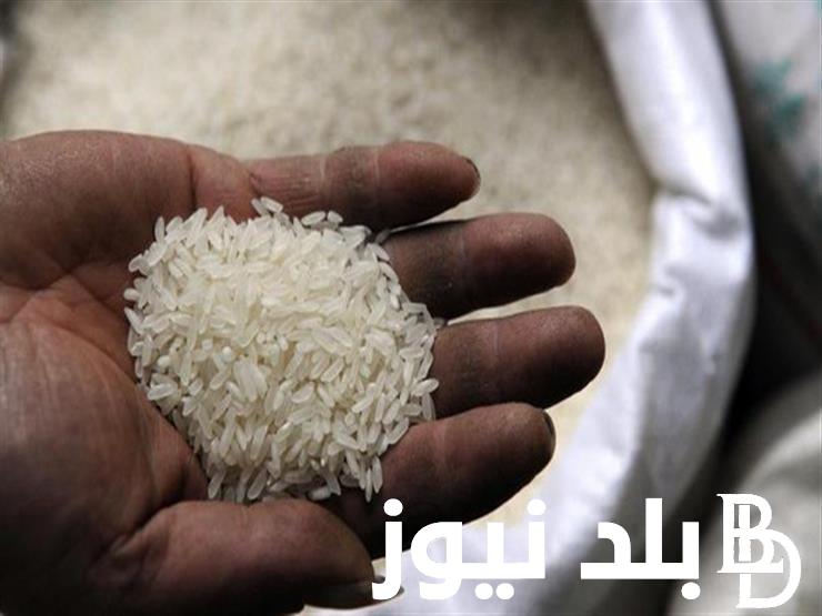 ارتفاع سعر طن الارز الشعير اليوم الثلاثاء 28/11/2023 وفقا لتغييرات المناخية وتكلفة الإنتاج