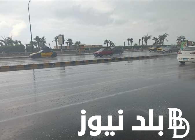 “سوق على مهلك” حالة الطقس اليوم الخميس 30/11/2023 وفقا لهيئة الأرصاد الجوية