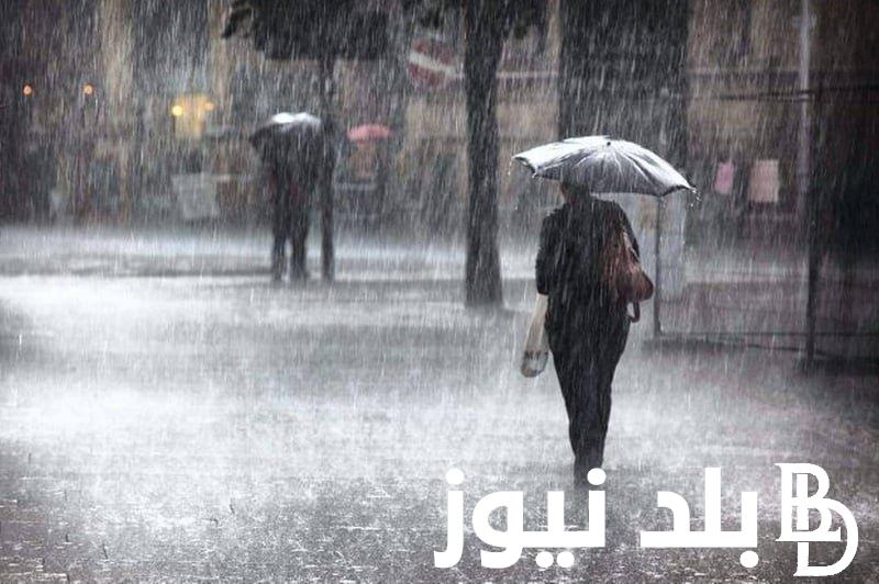 تعطيل الدراسة غدا الاربعاء 22/11/2023 تعليمات ونصائح للتعامل مع الطقس السئ وفقا للهيئة العامة للارصاد