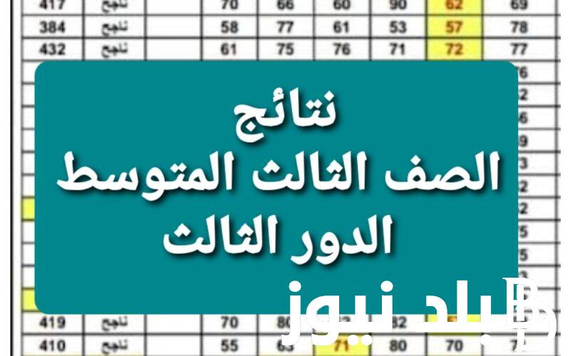 نتائج الثالث المتوسط 2023 الدور الثالث بالرقم الإمتحاني من خلال موقع نتائجنا results.mlazemna.com