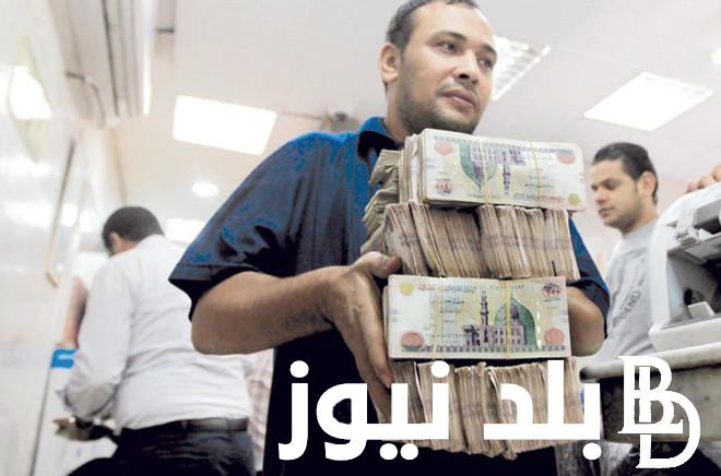 رسميًا.. زيادة المرتبات 2024 في مصر بنسبة تصل لــ 24% للقطاع العام والقطاع الخاص