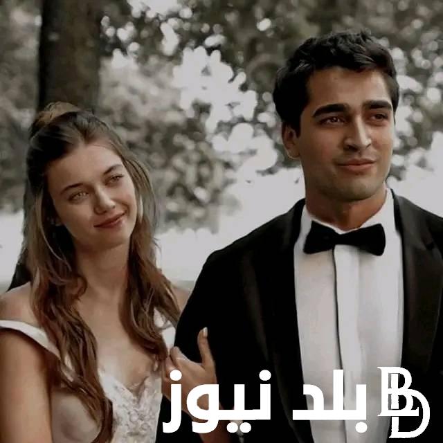 “Yalı Çapkın ح ٥٠” تشغيل مسلسل طائر الرفراف الحلقة 50 على ماي سيما 2024 بجودة HD تابع الحلقة 50 مسلسل طائر الرفراف اليوم على قصة عشق