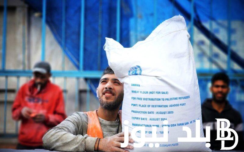 تفعيل رابط فحص الطحين في غزة 2023 برقم الهوية عبر موقع وكالة الأونروا foodaid.azurewebsites.net
