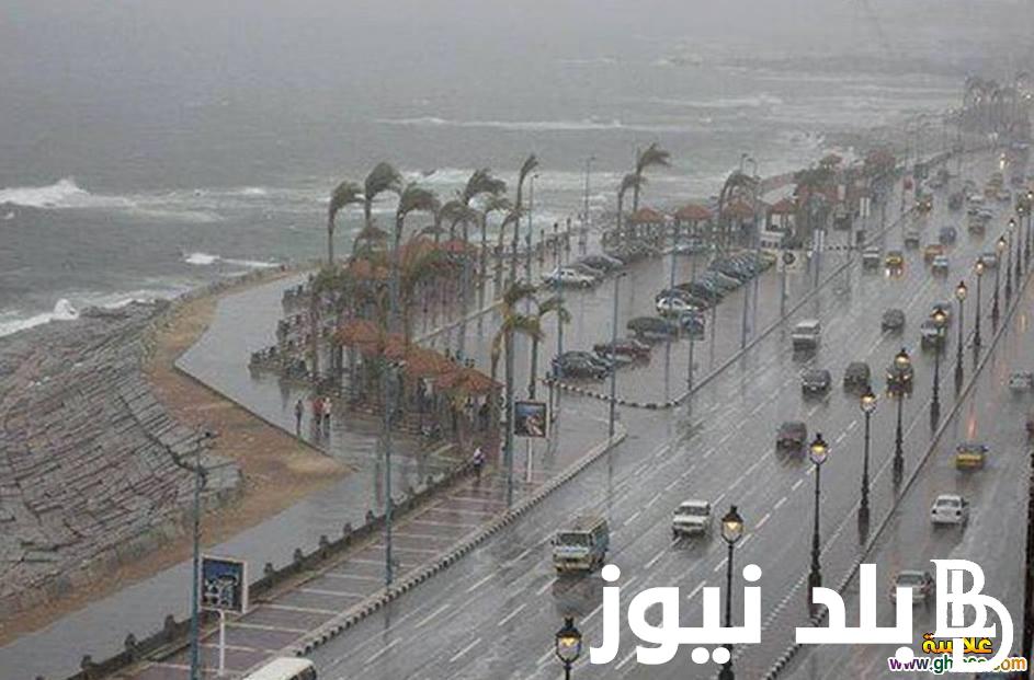 من هُنا.. جدول مواعيد سقوط الأمطار في الإسكندرية اليوم الأحد 25 ديسمبر 2023.. اعرف حالة الطقس وفق بيان الأرصاد الجوية