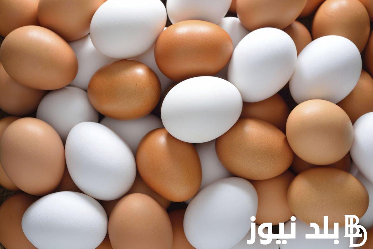 سعر البيض اليوم الاحد 10 ديسمبر 2023 ببورصة الدواجن