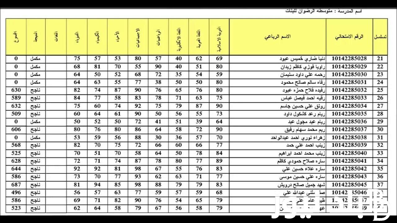 Now لينك pdf تحميل نتائج السادس الاعدادي 2023 الدور الثالث results.mlazemna وزارة التربية والتعليم