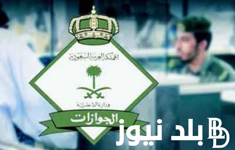 “خطوة بخطوة” رابط الاستعلام عن تأشيرة السعودية برقم الجواز 2023 عبر visa.mofa.gov.sa