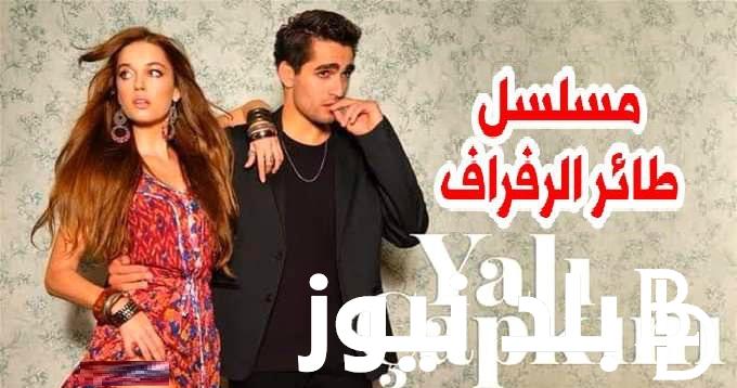 “فريد yalıçapkını ح ٤٩”الآن مسلسل طائر الرفراف الحلقة 49 على ماي سيما وقصة عشق كاملة مترجم HD والقنوات الناقلة