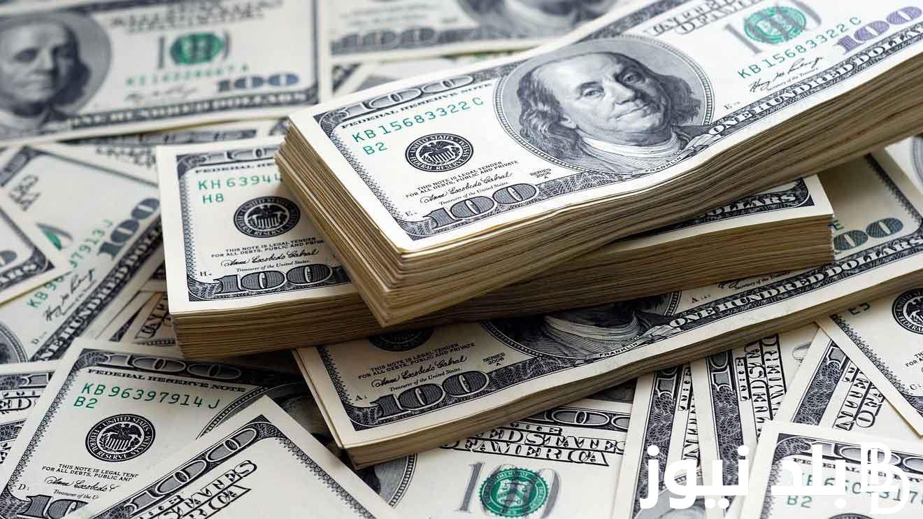 “الأخضر رايح على فين؟” توقعات سعر الدولار 2024 في مصر في العام الجديد