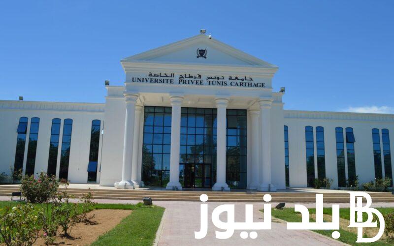 “oous.rnu.tn” .. رابط الاستعلام عن نتائج دراسة المنح الجامعية ديوان الجنوب 2023 وزارة التربية التونسية واهم الأوراق المطلوبة للتسجيل
