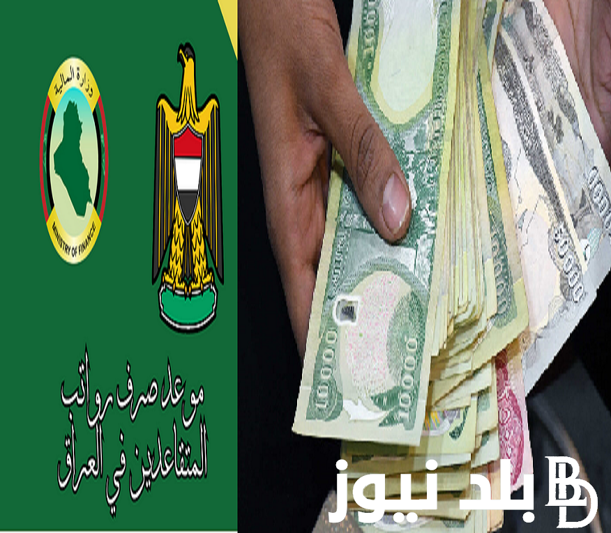 “mof.gov.iq” متى موعد نزول رواتب المتقاعدين العراق لشهر ديسمبر 2023 وخطوات الاستعلام موقع وزارة المالية