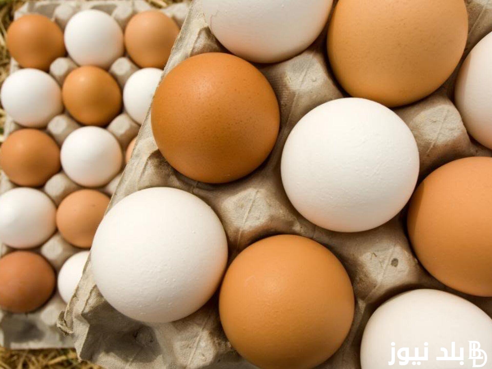 “طبق البيض بكام” سعر كرتونة البيض اليوم للمستهلك الاحد 2024/1/7 في مصر