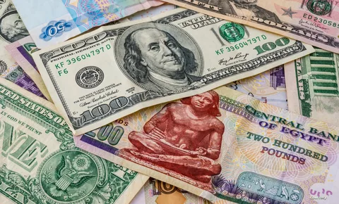 سعر الدولار اليوم بالسوق السوداء 1 يناير 2024 مقابل الجنيه المصري