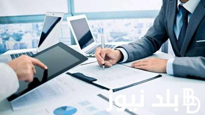 “4 وظائف بالحكومة” .. رابط وشروط التقديم لوظائف مصلحة الضرائب المصرية 2024 وأهم الأوراق والمستندات المطلوبة