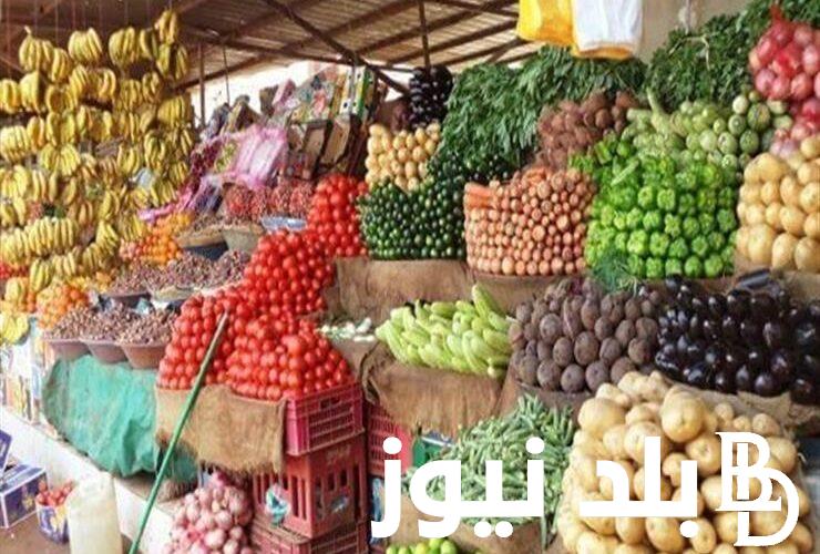 اسعار الخضار اليوم الاربعاء 31 – 1 – 2024 بسوق العبور واسعار الفاكهة