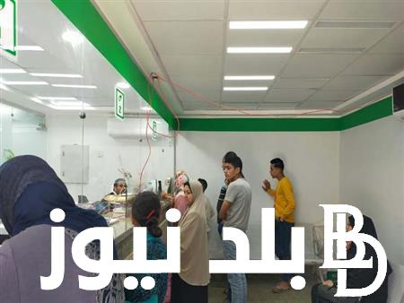 موعد صرف منحة العمالة الغير منتظمة 2024 وشروط التقديم في المنحة