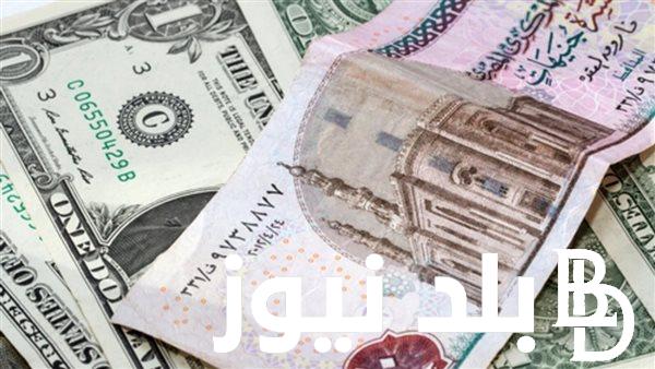 تعرف على سعر الدولار اليوم مقابل الجنيه المصرى الخميس 1 فبراير 2024 بالسوق السوداء وبمختلف البنوك