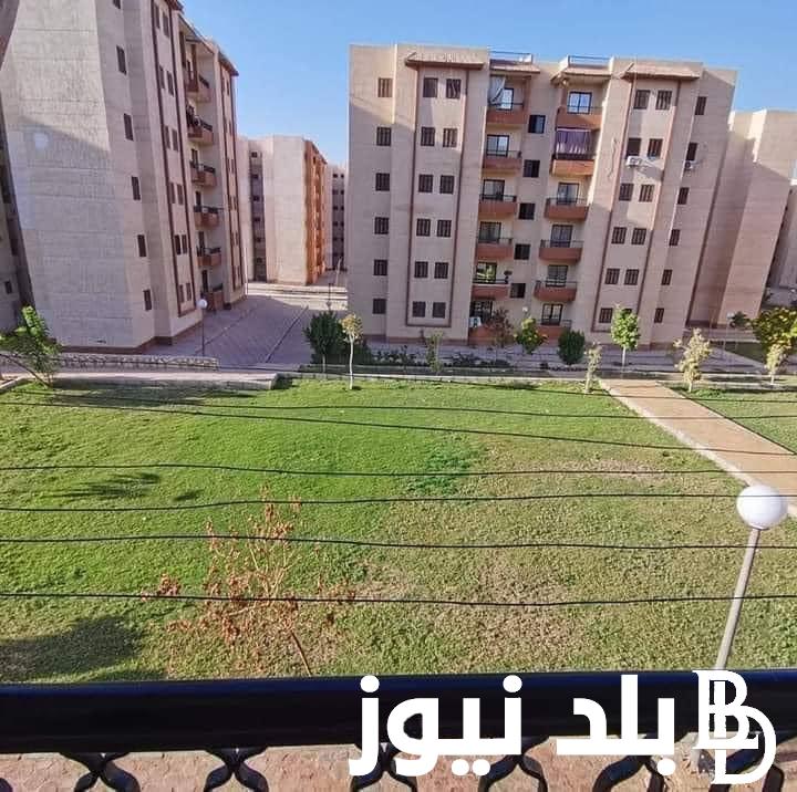 “جهّز ورقك واستلم فوراً ” شقق الإسكان الاجتماعي لمحدودي الدخل 2024 موعد الطرح والشروط والاوراق المطلوبة