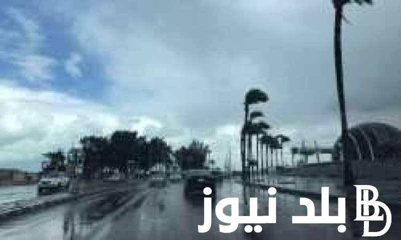 حالة الطقس غدا الأربعاء 9 يناير 2023 وفق تصريحات هيئة الأرصاد ودرجات الحرارة المتوقعة