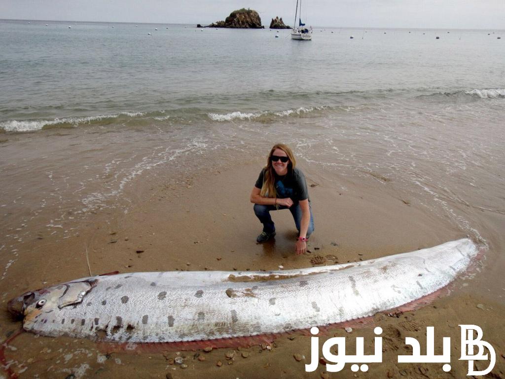 “كارثة للعالم” سمكة يوم القيامة والزلزال اليابان ومواصفات السمكة المشئومة