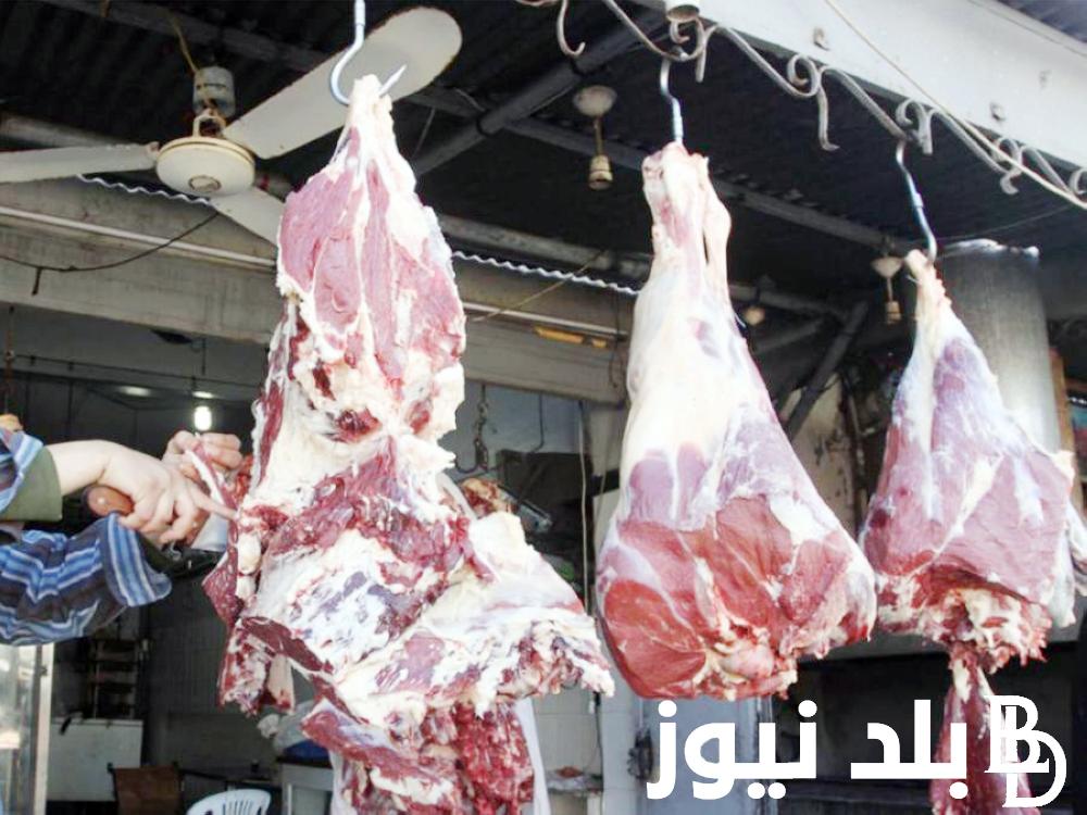“كندوز وكبير” اسعار اللحوم اليوم السبت الموافق 2024/1/6 للمستهلك في محلات الجزارة