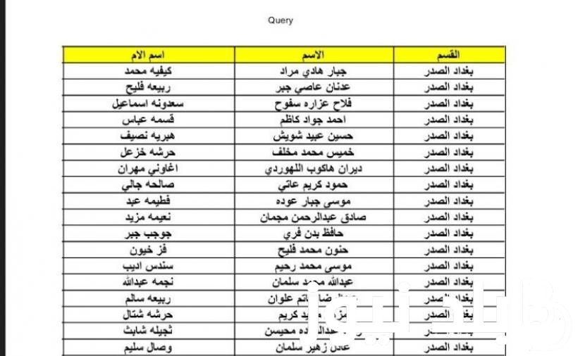 online رابط قوائم اسماء المشمولين فى الرعاية الاجتماعية بالعراق 2024 لشهر 1 و 2 من موقع وزارة العمل العراقية