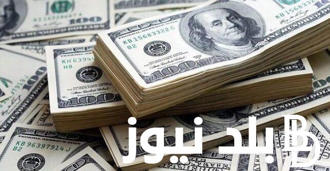 “الاخضر جن جنونه” 100 دولار كم جنيه مصري اليوم في السوق السوداء الخميس 25/1/2024 وبالبنوك