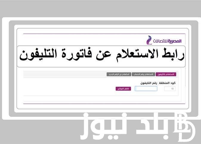 استعلام عن فاتورة التليفون الأرضي لشهر يناير 2024 بالاسم والرقم عبر موقع المصرية للاتصالات