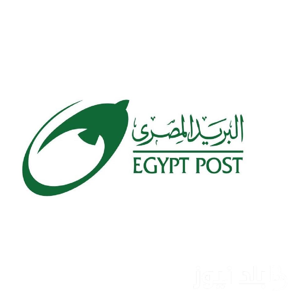 وظائف البريد المصري 2024 خطوات وشروط التقديم عبر موقع بوابة الوظائف الحكوميه jobs.caoa.gov.eg