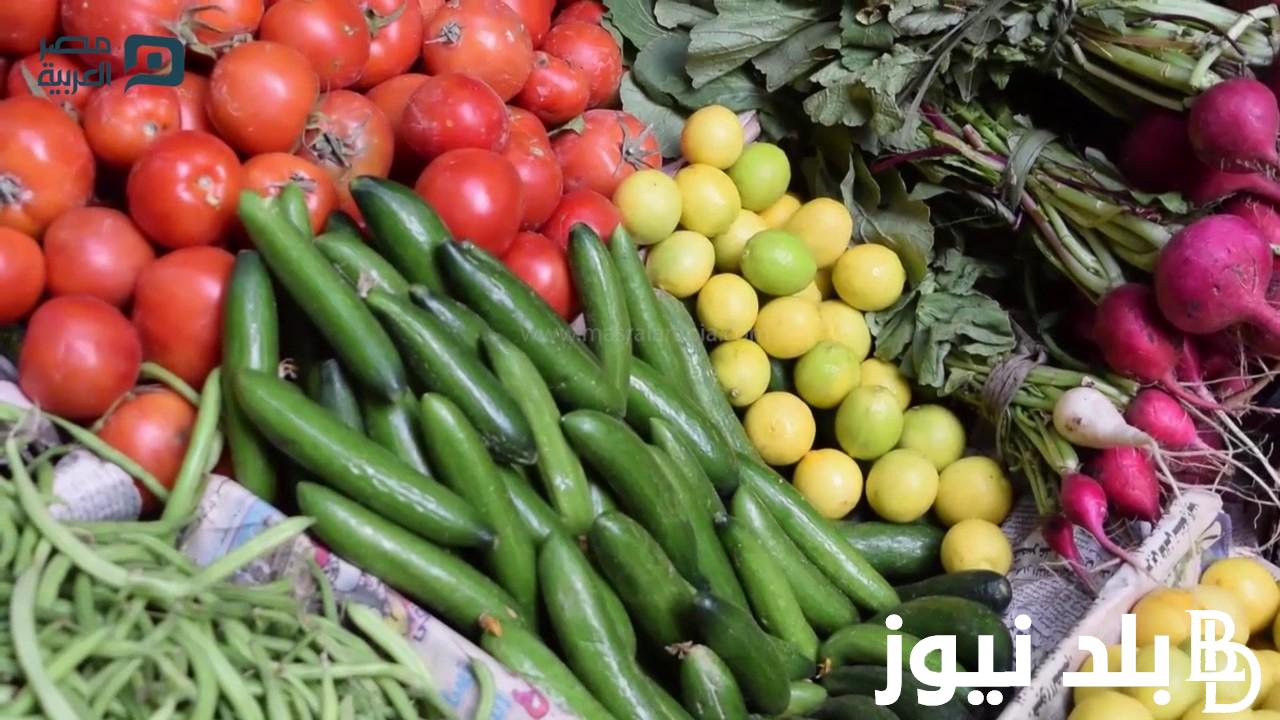 قائمة اسعار الخضار اليوم الاثنين 29 يناير 2024 في جميع الاسواق المصرية