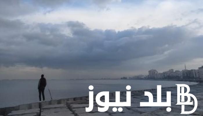 حالة الطقس غدا الاثنين ٢٩ يناير ٢٠٢٤ ودرجات الحرارة المتوقعة في مختلف المحافظات