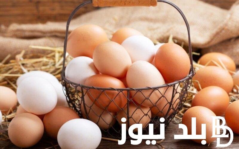 سعر كرتونة البيض اليوم للمستهلك الخميس 11 يناير 2024 بجميع الشركات وبالأسواق