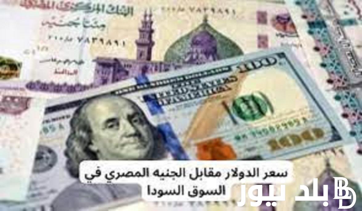 500 دولار كم جنيه مصري في السوق السوداء؟ تعرف الان على سعر الدولار في السوق الموازي بتاريخ 9 يناير 2024