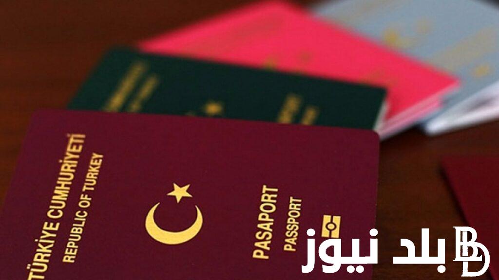 رابط تتبع مراحل التجنيس عبر vatan.nvi.gov.tr بالخطوات في تركيا 2023- 2024