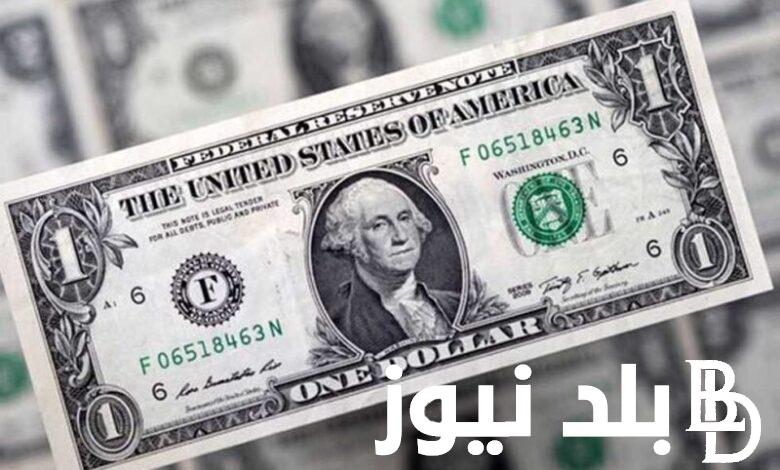 “الأخضر مولعها” سعر الدولار مقابل الجنيه بالسوق السوداء اليوم الأربعاء 31 يناير 2024