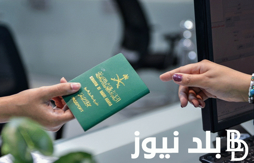خطوات الاستعلام عن تأشيرة زيارة برقم الجواز أو برقم الهوية عبر visa.mofa.gov.sa