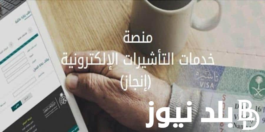 كيفية الاستعلام عن تأشيرة السعودية برقم الطلب عبر visa.mofa.gov.sa بالخطوات